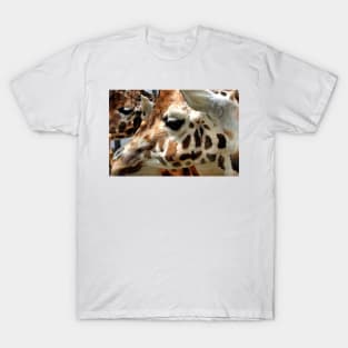 African Giraffe Amelopardalis Giraffa T-Shirt